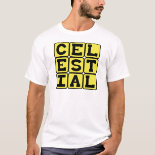 Camiseta Celeste, Perteneciente Al Cielo