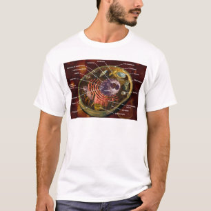 Camiseta Célula animal