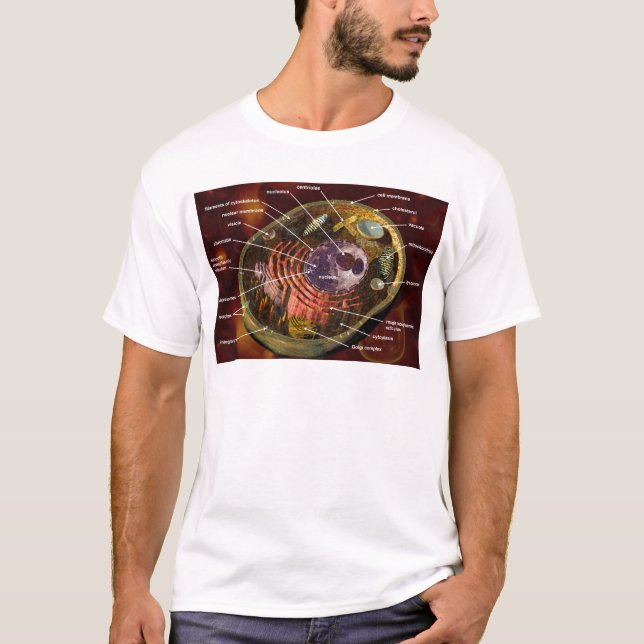 Camiseta Célula animal (Anverso)