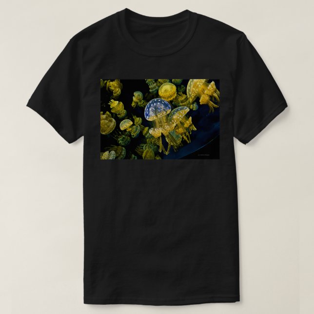 Camiseta Celular 6 2 (Diseño del anverso)