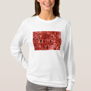 Camiseta Células de Sclerenchyma de un hoyo de la cereza
