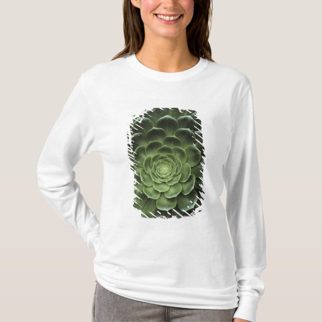 Camiseta Centro del cactus (Anverso)