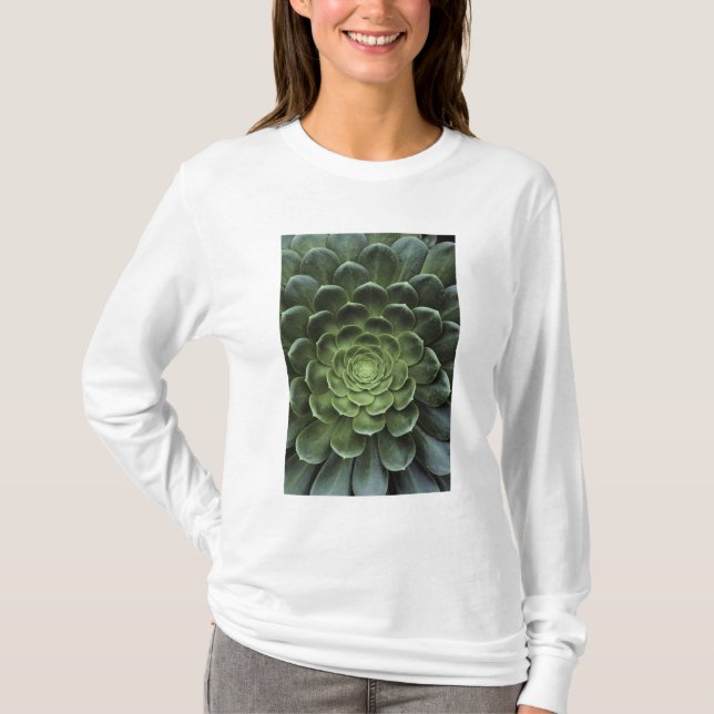 Camiseta Centro del cactus (Anverso)