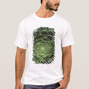 Camiseta Centro del cactus