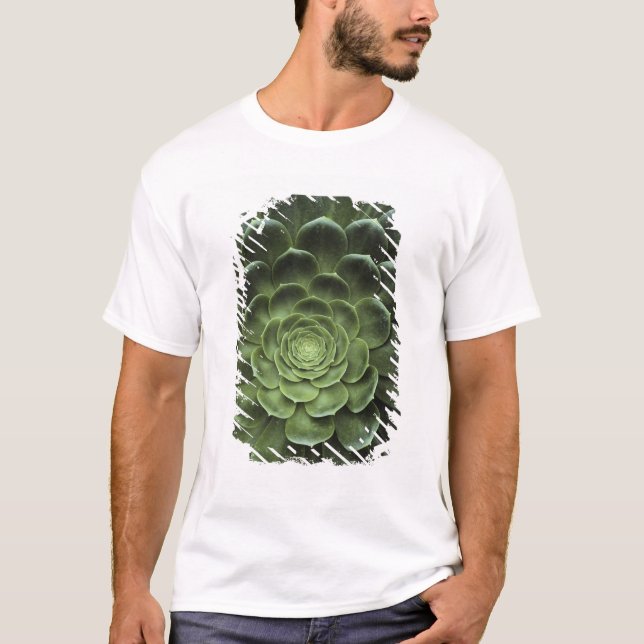 Camiseta Centro del cactus (Anverso)