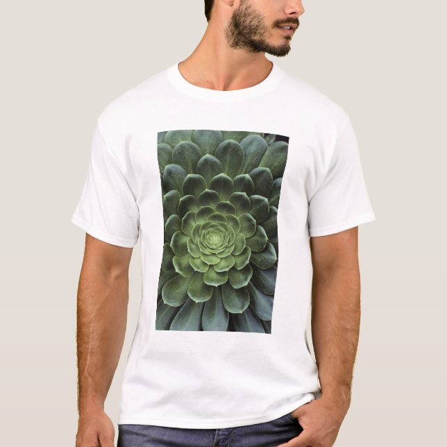 Camiseta Centro del cactus (Anverso)