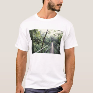 Camiseta Centroamérica, Costa Rica, Monteverde Nube
