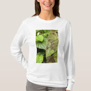 Camiseta Centroamérica, Costa Rica, Sarapiqui, Braulio