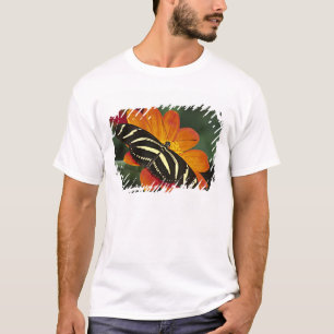 Camiseta Centroamérica, Costa Rica, Selva Verde
