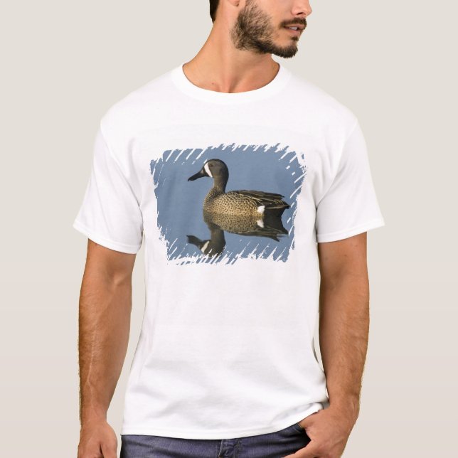 Camiseta Cerceta Aliazul, Anas discors,macho, Puerto (Anverso)