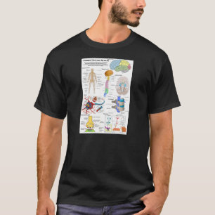 Camiseta Cerebro humano y diagrama de sistema nervioso