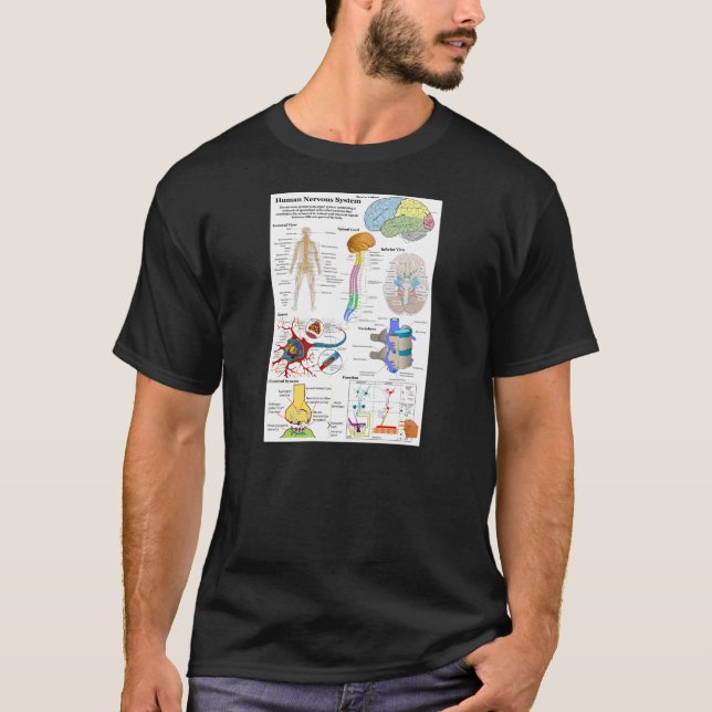 Camiseta Cerebro humano y diagrama de sistema nervioso (Anverso)