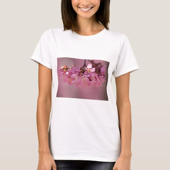 Camiseta Cerezos en flor Primavera Caliente 2012 Aparatos y (Anverso)