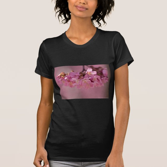 Camiseta Cerezos en flor Primavera Caliente 2012 Aparatos y (Anverso)