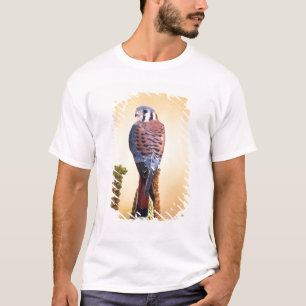 Camiseta Cernícalo americano, Falco sparverius, Nativo de E