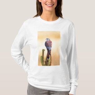 Camiseta Cernícalo, Falco sparverius, Nativo de EE. UU. y C