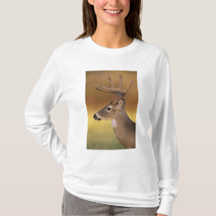Camiseta Cerveza blanca, Odocoileus virginianus,