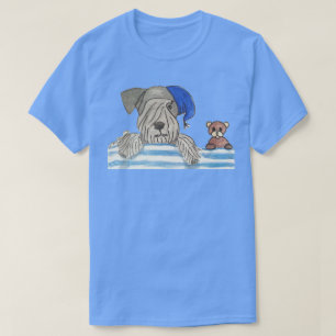 Camiseta Cesky y peluche