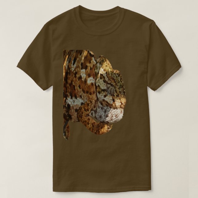 Camiseta Chameleon Colgando Sobre Un Vector De La Cercada D (Diseño del anverso)