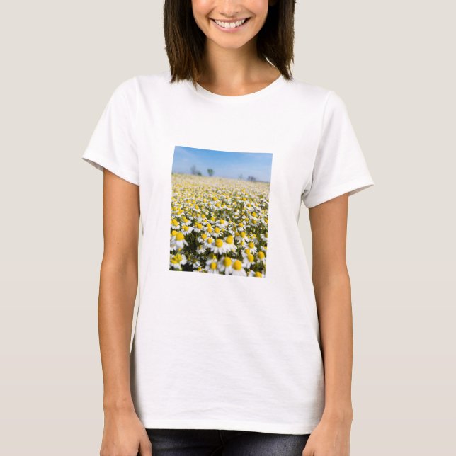Camiseta Chamomile Field, Hungary (Anverso)