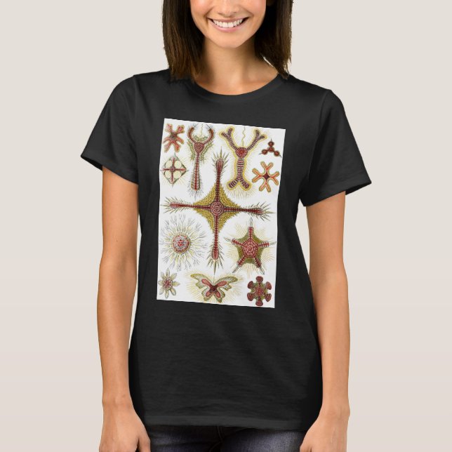 Camiseta Chamomile salvaje de Ernst Haeckel, naturaleza vin (Anverso)