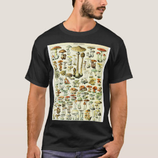 Camiseta Champignons Mushrooms Vintage Botanati Illustrati