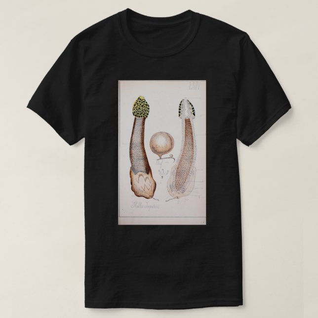 Camiseta champiñón de falo retro comestible y venenoso (Diseño del anverso)