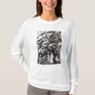 Camiseta Charles II ocultado en el roble