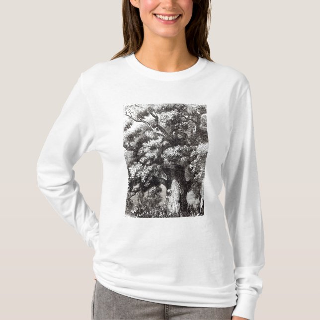 Camiseta Charles II ocultado en el roble (Anverso)