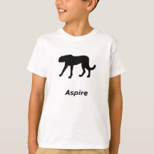 Cheetah Aspire