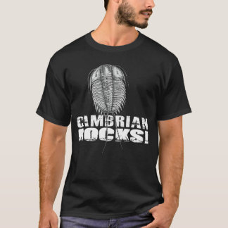 Camiseta chica de las rocas cámbricas