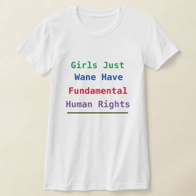 Camiseta Chicas solo quieren tener derechos humanos fundame (Distribución)