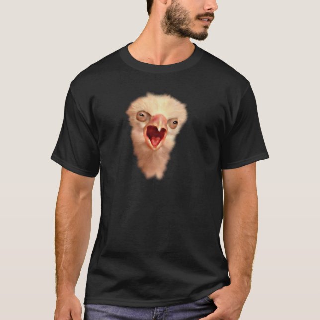 Camiseta Chick Falcon (Anverso)