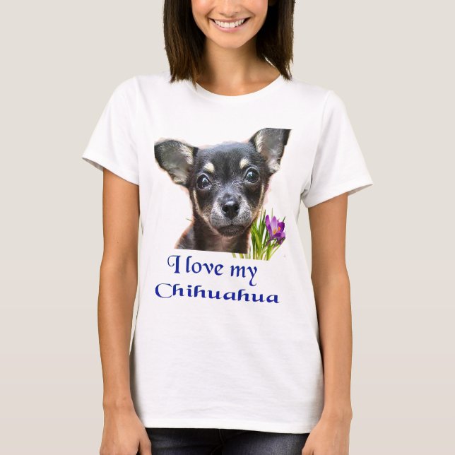 Camiseta chihuahua (Anverso)