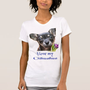 Camiseta chihuahua