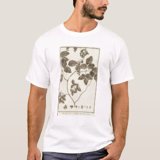 Camiseta Chile 3