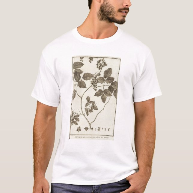 Camiseta Chile 3 (Anverso)