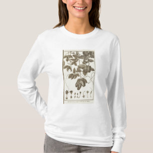 Camiseta Chile 5