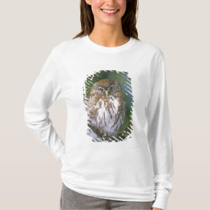 Camiseta Chile, Aysen. Cachilote Austral juvenil