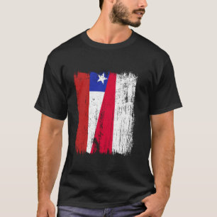 Camiseta Chile Polonia Media Bandera Ascendencia Chilena Po