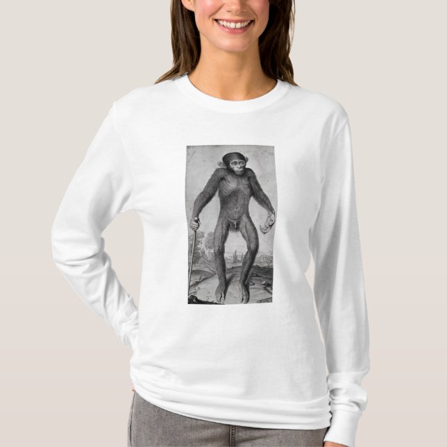Camiseta Chimpancé, 1699 (Anverso)