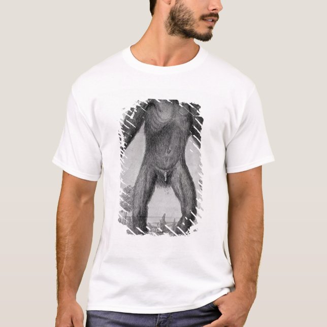 Camiseta Chimpancé, 1699 (Anverso)