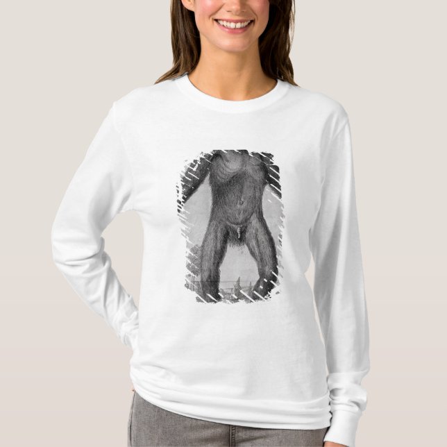 Camiseta Chimpancé, 1699 (Anverso)