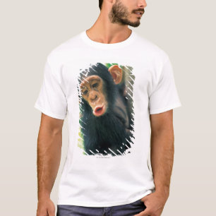 Camiseta Chimpancé joven (trogloditas de la cacerola)
