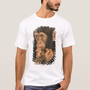 Camiseta Chimpancé (trogloditas de la cacerola). Playfull