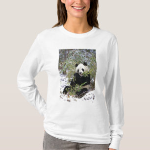 Camiseta China, provincia de Sichuan. El panda gigante se a