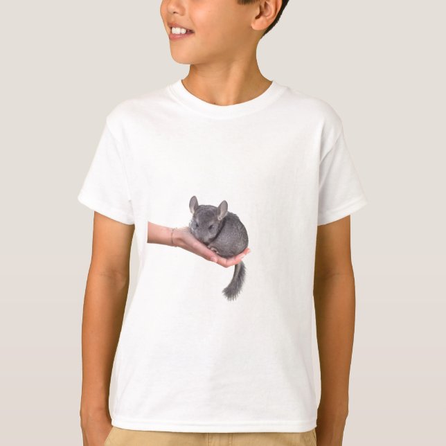 Camiseta chinchilla (Anverso)