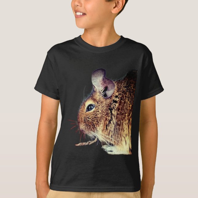 Camiseta Chinchilla (Anverso)