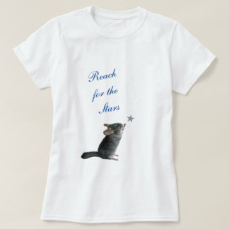 Camiseta Chinchilla llegando a la estrella