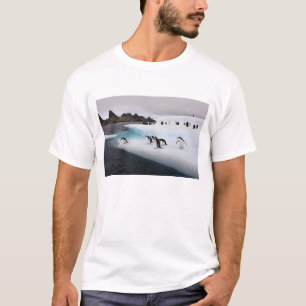 Camiseta Chinstrap Penguins